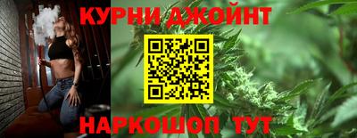 индика Жуковский