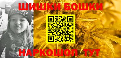 индика Жуковский