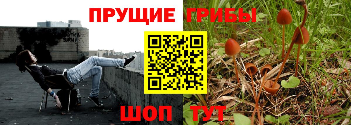 Псилоцибиновые грибы ЛСД Сосновоборск